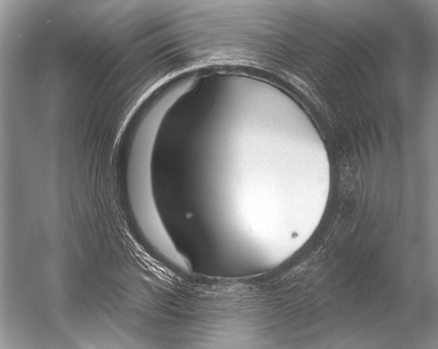 X0000053120926200508081248