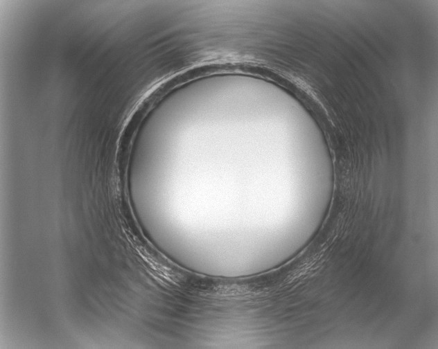 X0000053120927200508081248