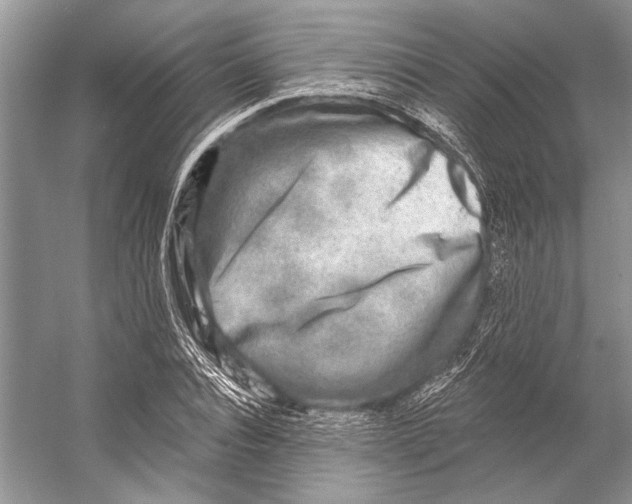 X0000053120928200508081248