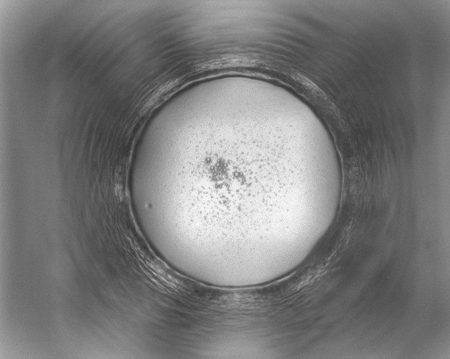 X0000053120929200508081248