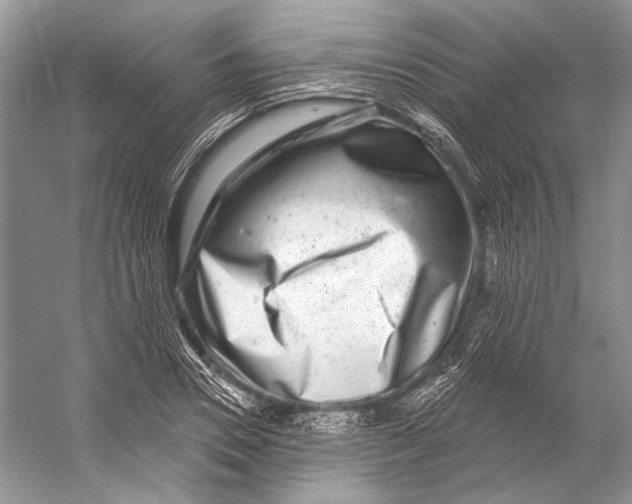 X0000053120930200508081248