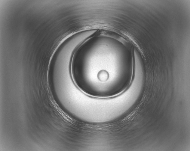 X0000053120932200508081248