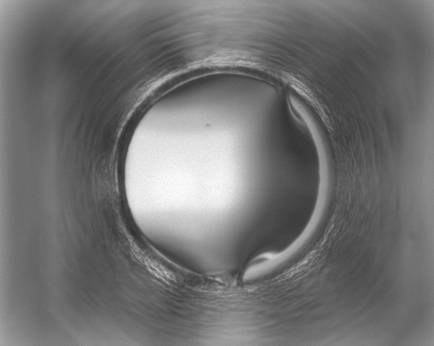 X0000053120934200508081248