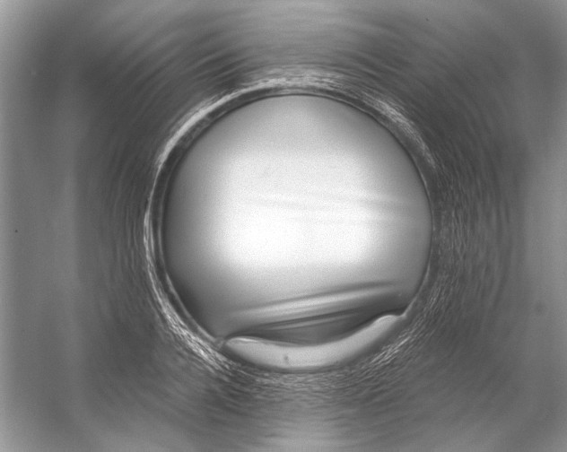 X0000053120936200508081248