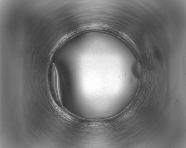 X0000053120938200508081248