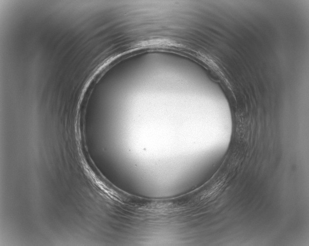 X0000053120939200508081248