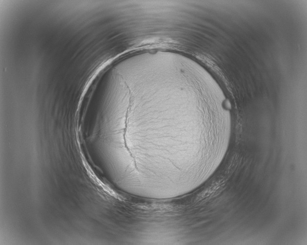 X0000053120941200508081248