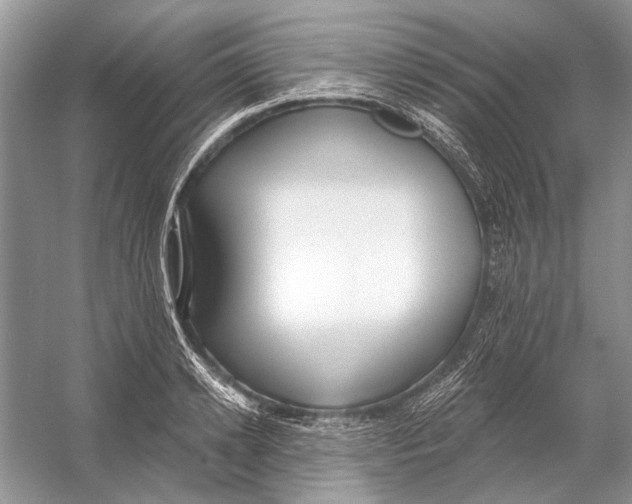 X0000053120942200508081248