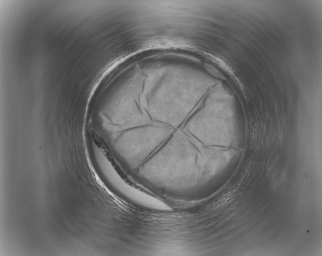 X0000053120943200508081248