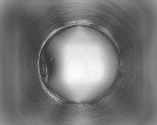 X0000053120947200508081248