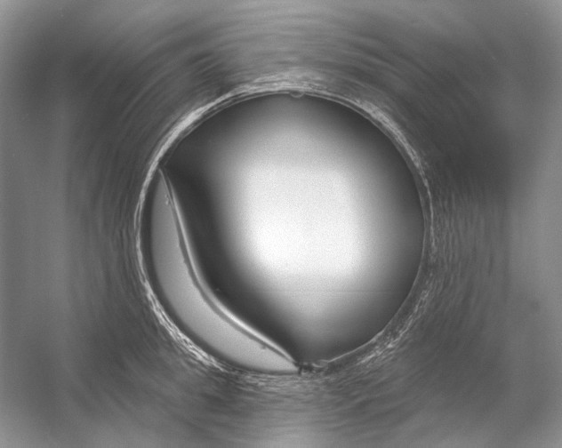 X0000053120949200508081248