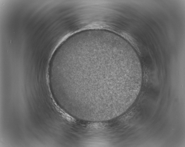 X0000053120950200508081248