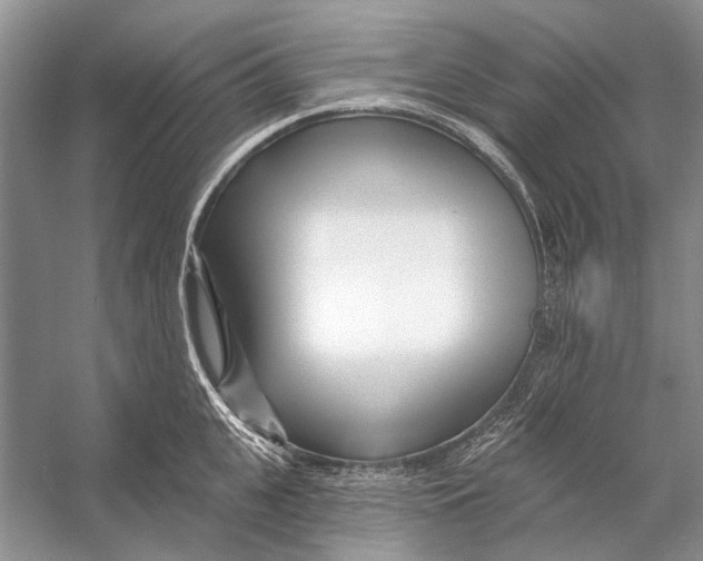 X0000053120951200508081248