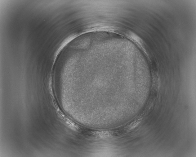 X0000053120952200508081248