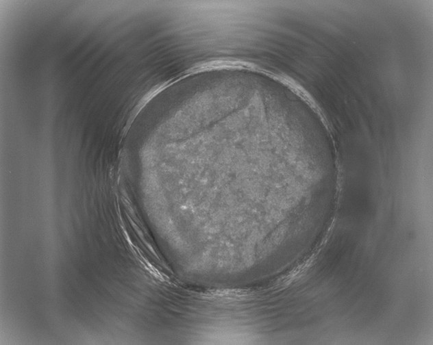 X0000053120953200508081248