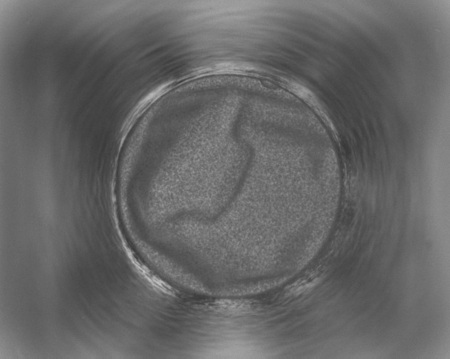 X0000053120954200508081248