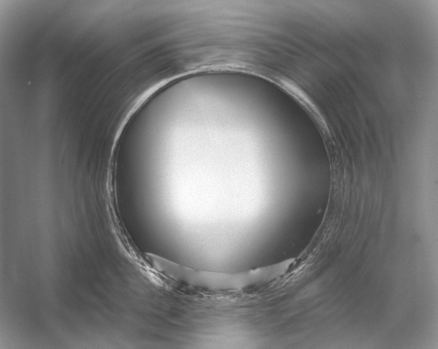 X0000053120956200508081248