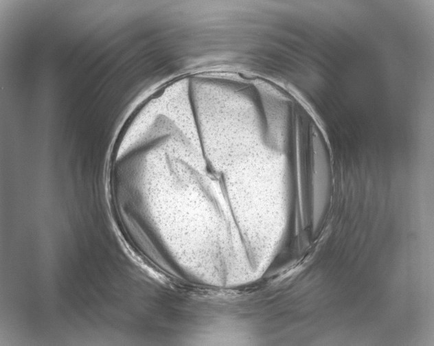 X0000053120957200508081248