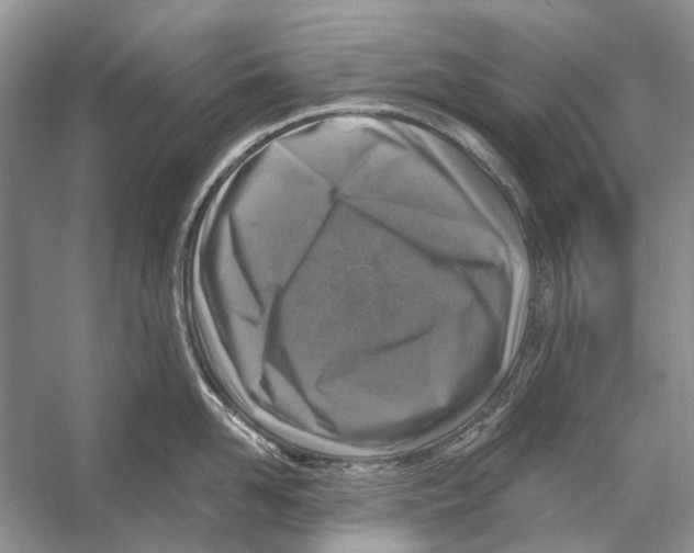 X0000053120958200508081248