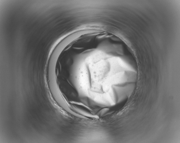 X0000053120960200508081248