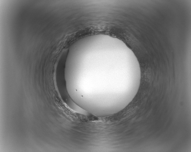 X0000053120961200508081247