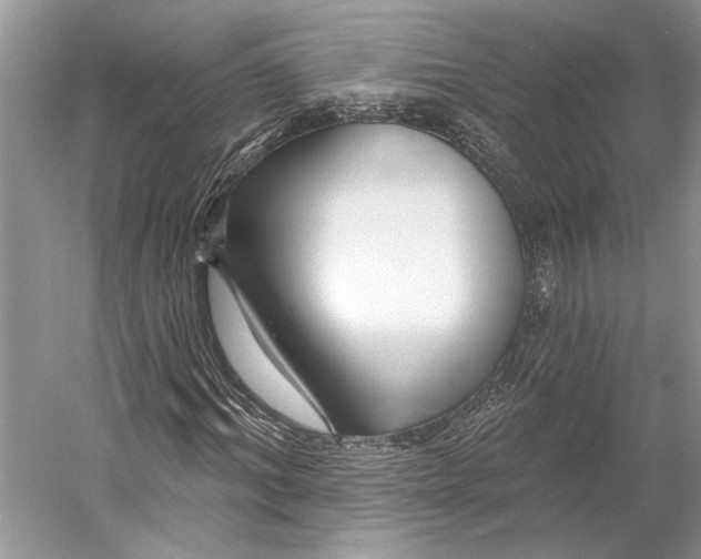 X0000053120964200508081247