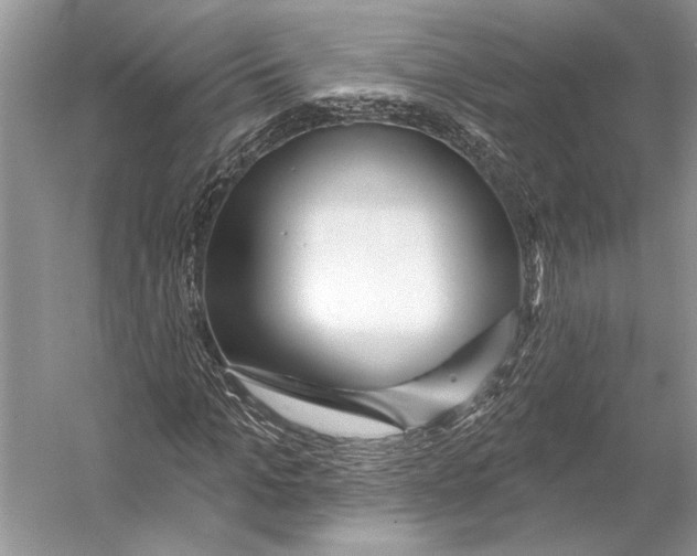 X0000053120965200508081247