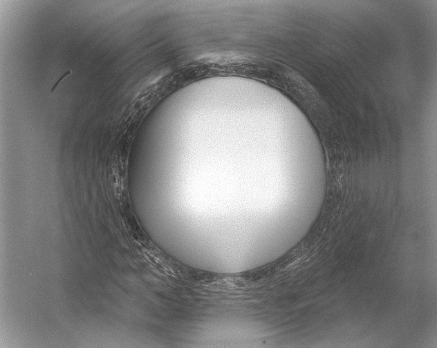 X0000053120966200508081247