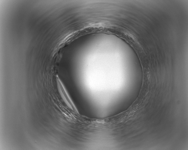 X0000053120968200508081247