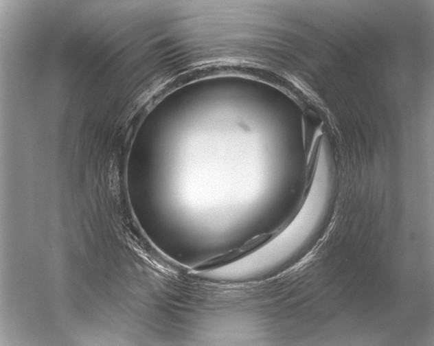 X0000053120969200508081247