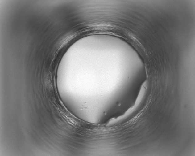 X0000053120970200508081247