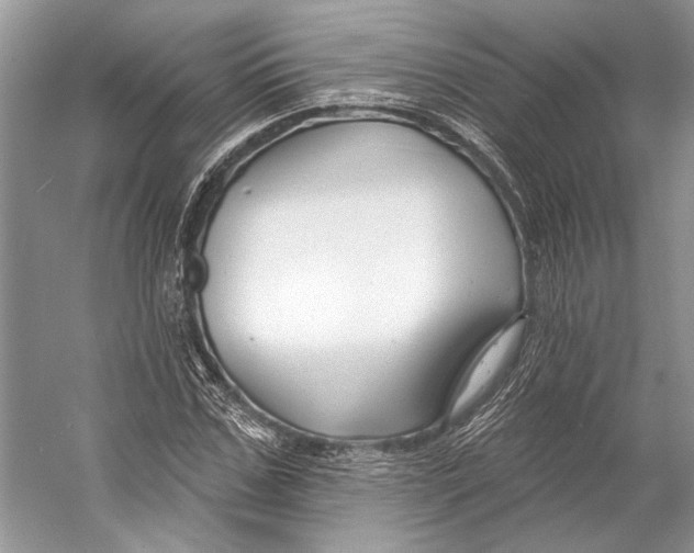 X0000053120971200508081247