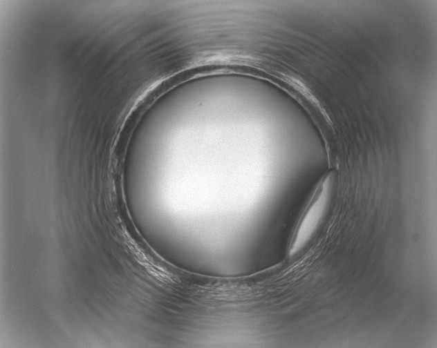 X0000053120972200508081247