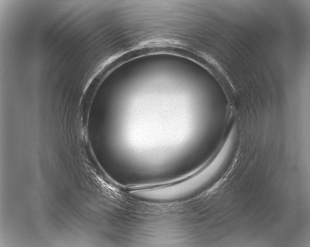 X0000053120973200508081247