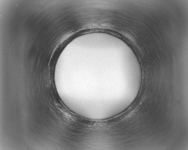 X0000053120974200508081247