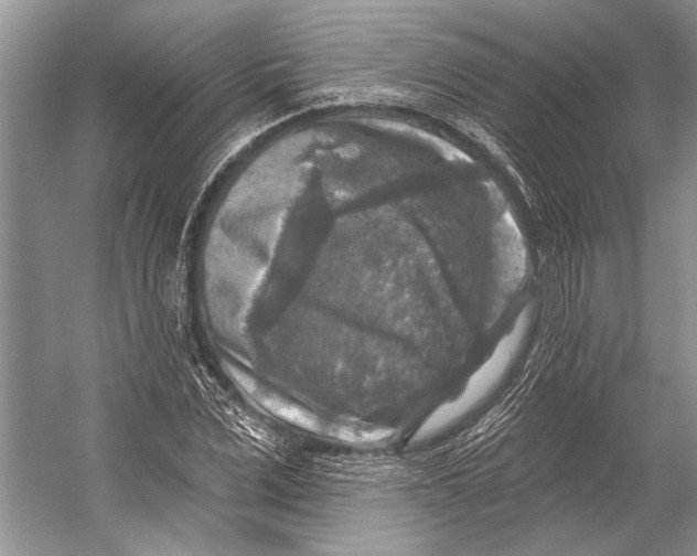 X0000053120975200508081247