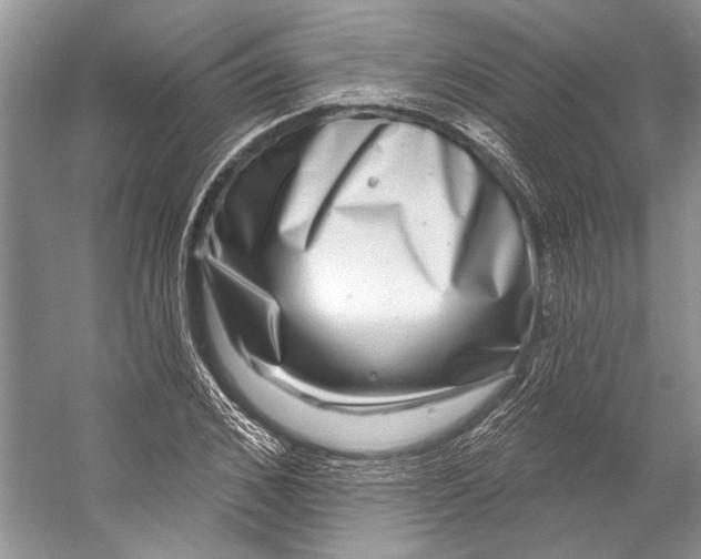 X0000053120976200508081247