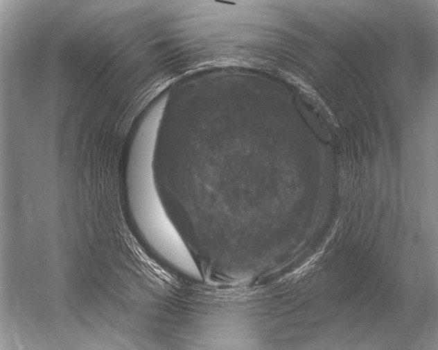 X0000053120977200508081247