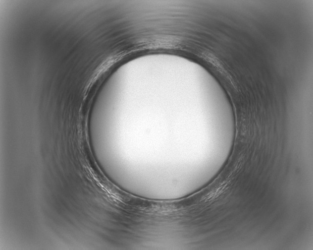 X0000053120978200508081247