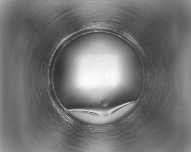 X0000053120980200508081247