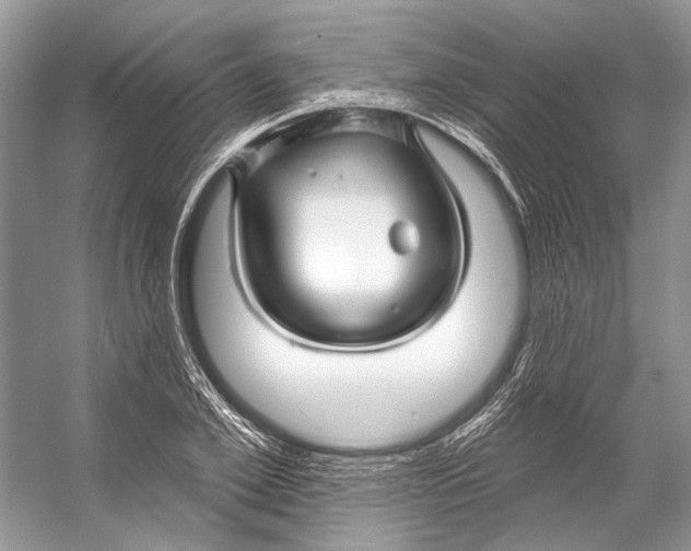 X0000053120981200508081247