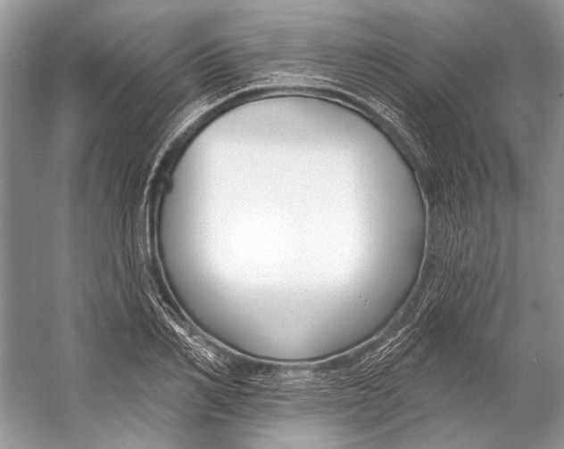 X0000053120982200508081247