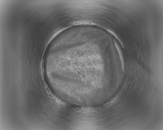 X0000053120983200508081247