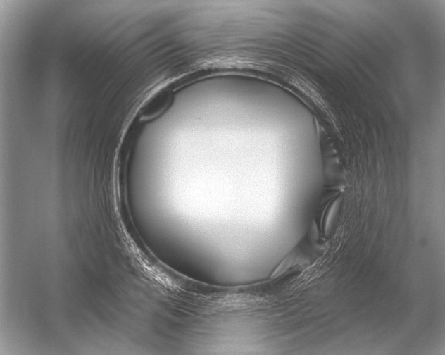 X0000053120984200508081247