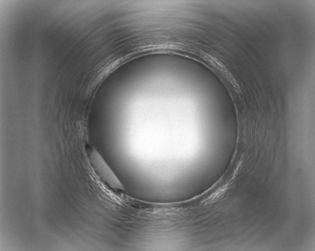 X0000053120985200508081247