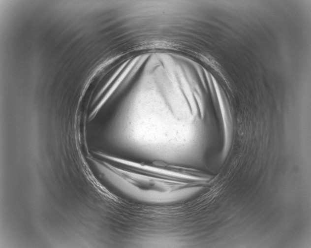 X0000053120987200508081247