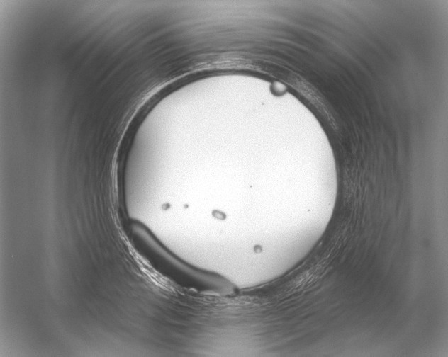 X0000053120988200508081247