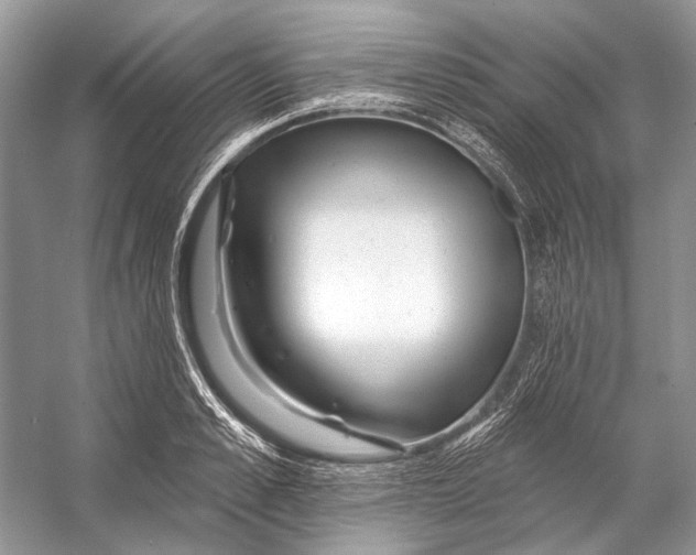 X0000053120989200508081247