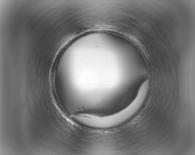 X0000053120990200508081247