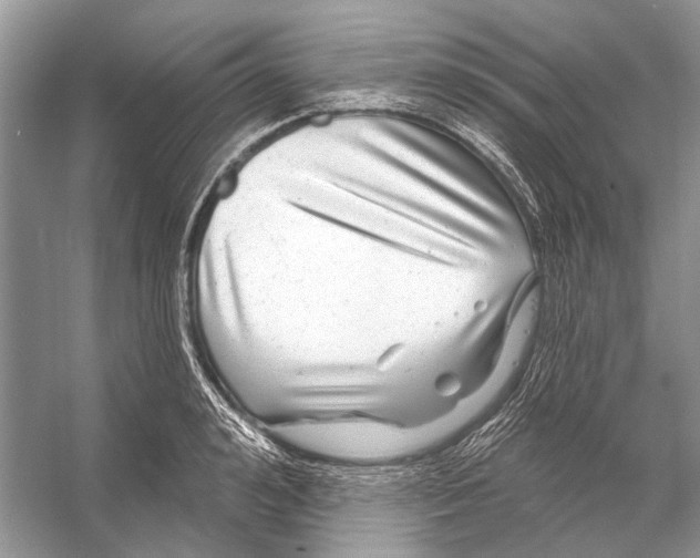 X0000053120992200508081247